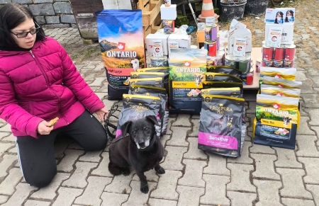 Psí senioři v nouzi, z.s.